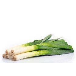 poireau