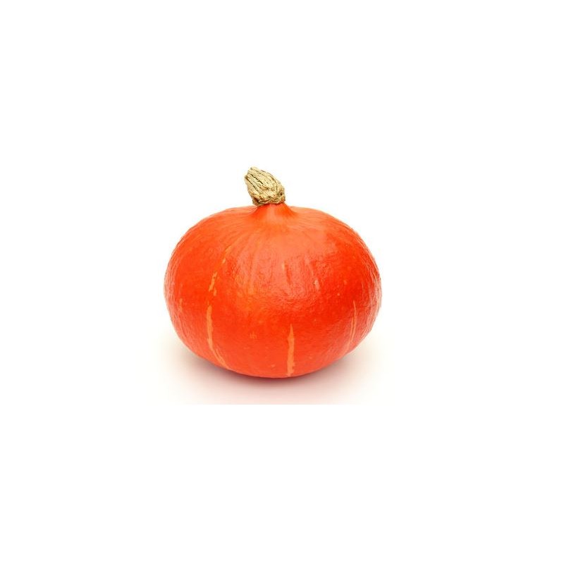 potimarron