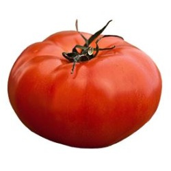 tomates a farcir