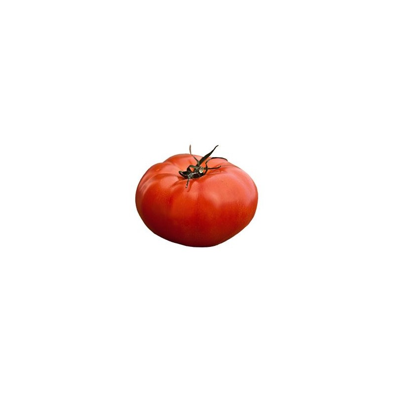 tomates a farcir