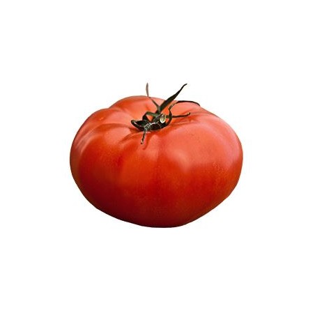 tomates a farcir
