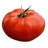tomates a farcir