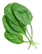 salades